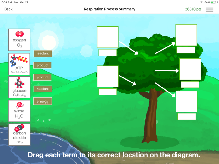 CellEnergy Photosynthesis Labs