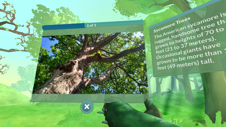 PI VR Plants and Trees screenshot-5