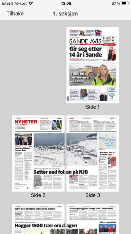 Sande Avis screenshot-4