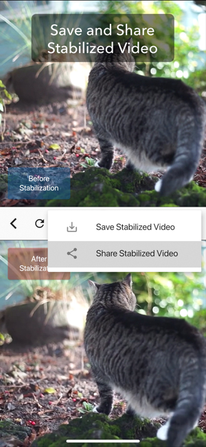 Deshake Video - Stabilization(圖5)-速報App