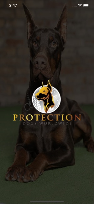 ProtectionDogs(圖1)-速報App