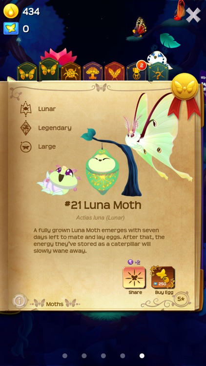 Flutter: Starlight screenshot-4