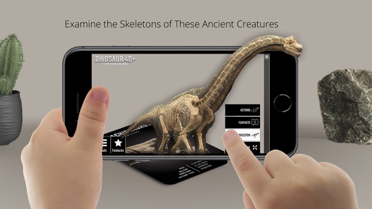 Dinosaur 4D+