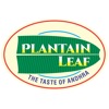 Plantain Leaf plantain 