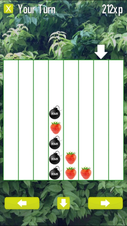 TtFruits screenshot-3