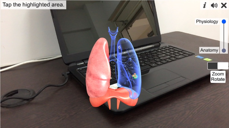 AR Respiratory system physiolo screenshot-4
