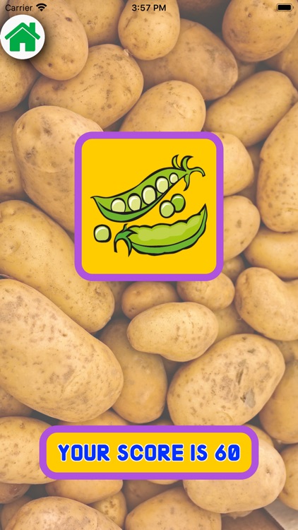 Food Flash Cards Quiz screenshot-5