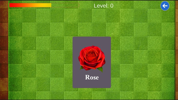 Memory Game - English Words screenshot-3
