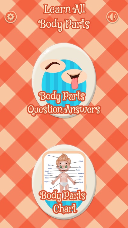 Learn All Body Parts