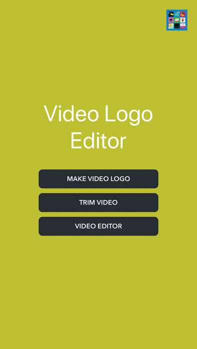 How to cancel & delete Text and Logo for Video Editor from iphone & ipad 1