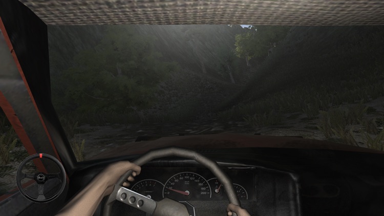 Real 4x4 Pickup Truck Driving screenshot-6