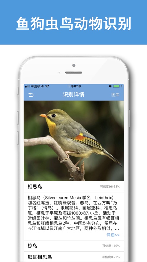 识别全能王-拍照识花草虫鸟车等