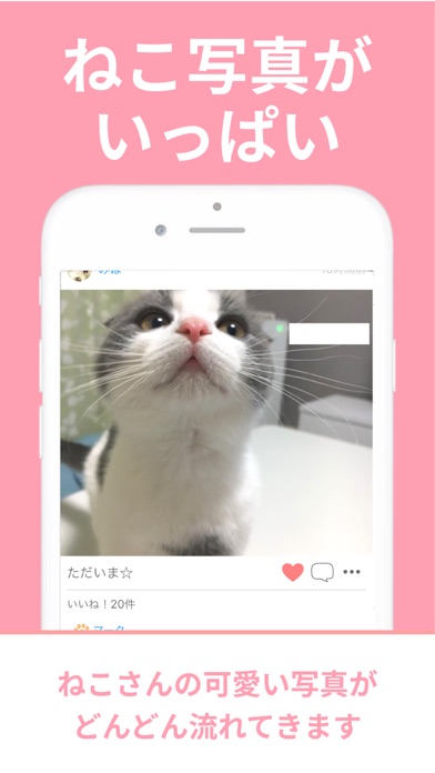 ねこすた screenshot 2