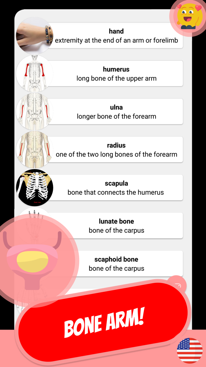 ANATOMY  SKELETON Quiz