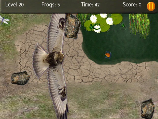 Baby Frogs - Frog Wrangling, game for IOS