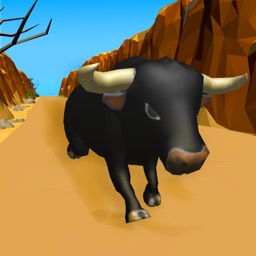 Bull Run 3D