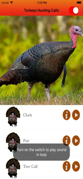 Game screenshot Turkey Hunting Calls - apk