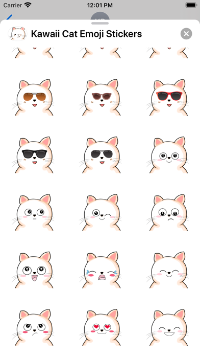 cat emoticon text