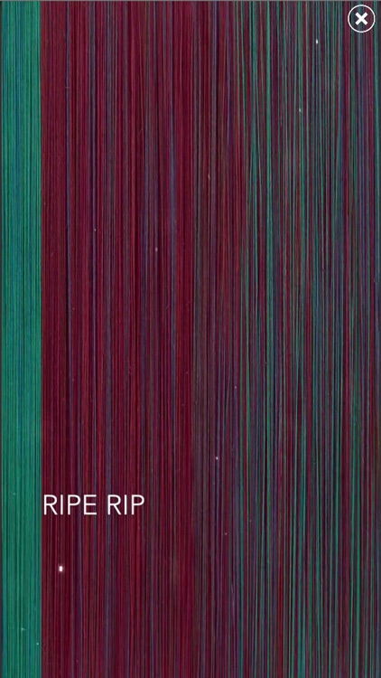 Reencuentro, Sheila Hicks screenshot-7