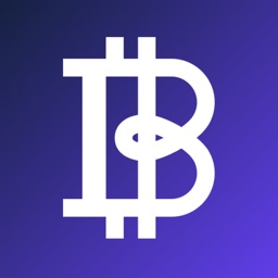 borsa-wallet