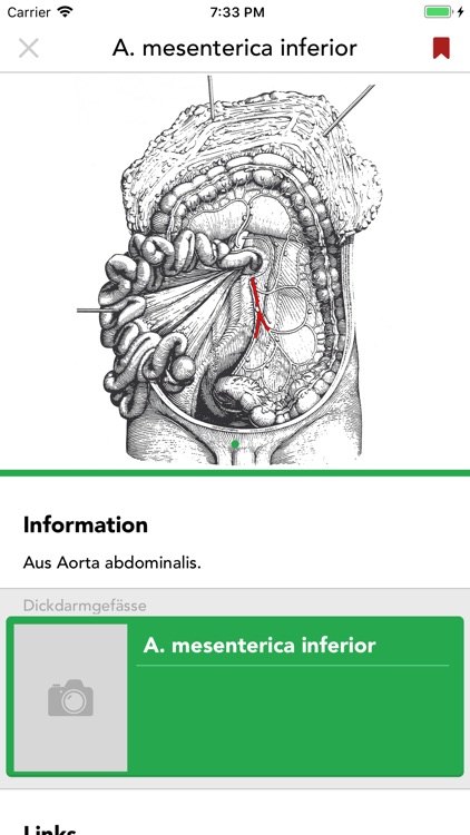 Praktikum Klinische Anatomie screenshot-4