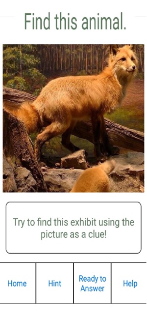 Hall of Mammals(圖1)-速報App