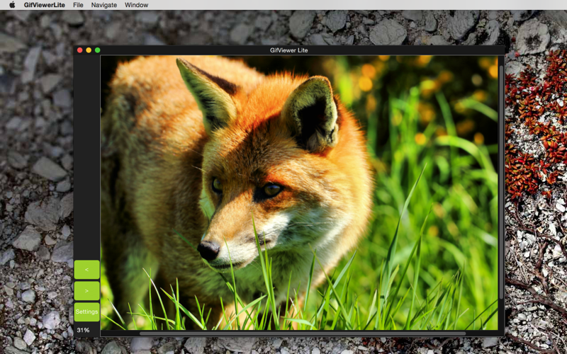 Скриншот из GifViewer Lite