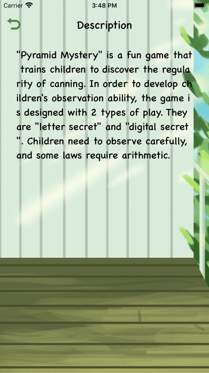 Pyramid Mystery screenshot-4