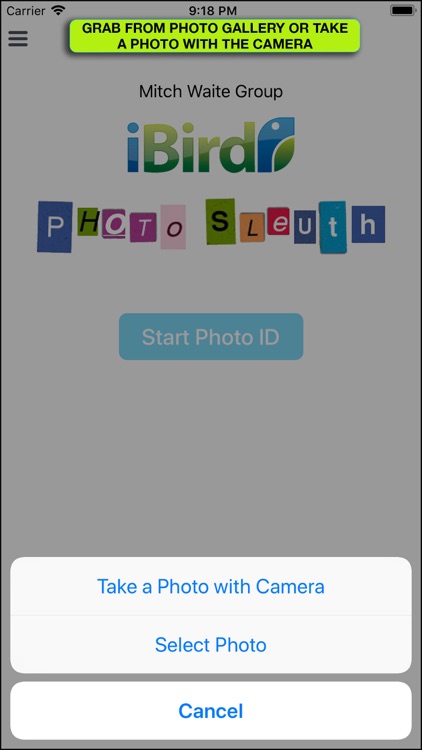iBird Photo Sleuth