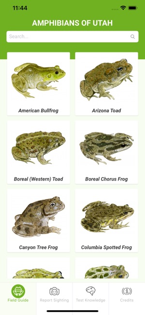 Amphibians of Utah