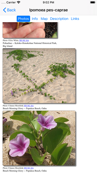Hawaii Plants screenshot 4