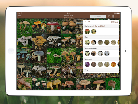 Mushrooms PRO - Hunting Safe screenshot 2