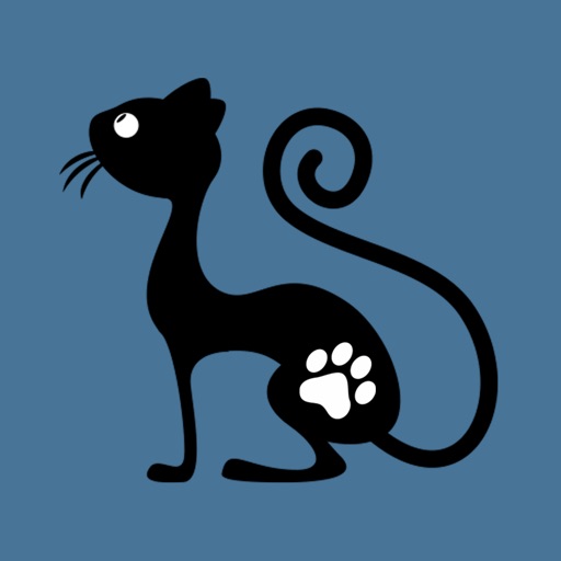 Black Cat in the City Stickers iOS App