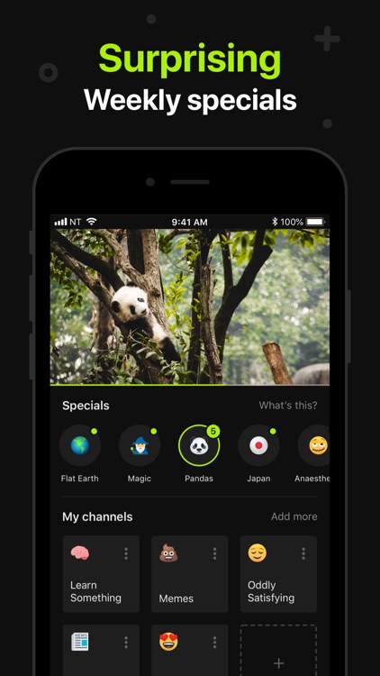 Neverthink: Handpicked videos screenshot-3
