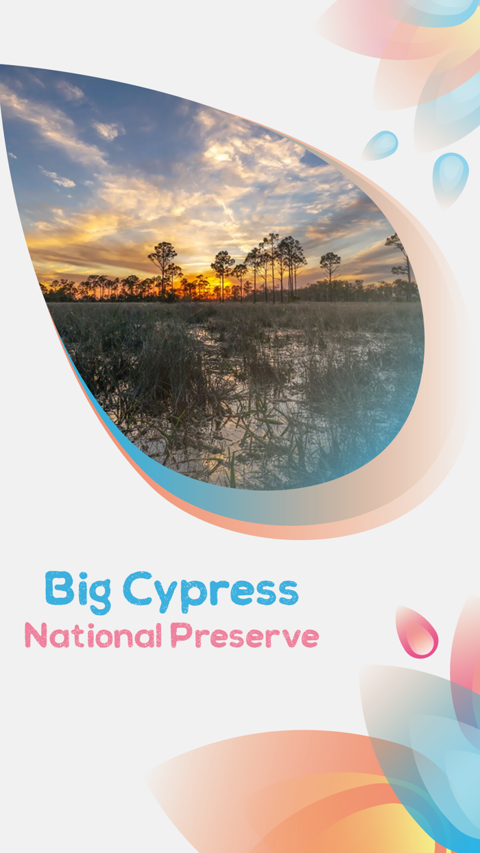 Big Cypress National Preserve