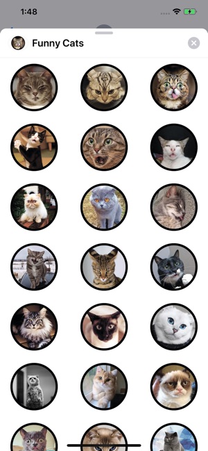 Funny Cats Sticker Pack(圖1)-速報App