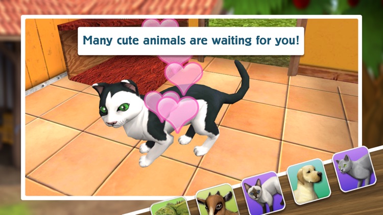 Pet World Premium screenshot-4
