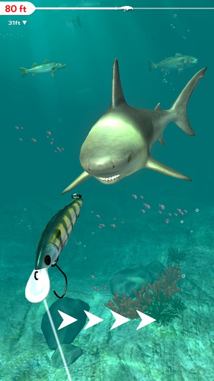 Rapala Fishing - Daily Catch