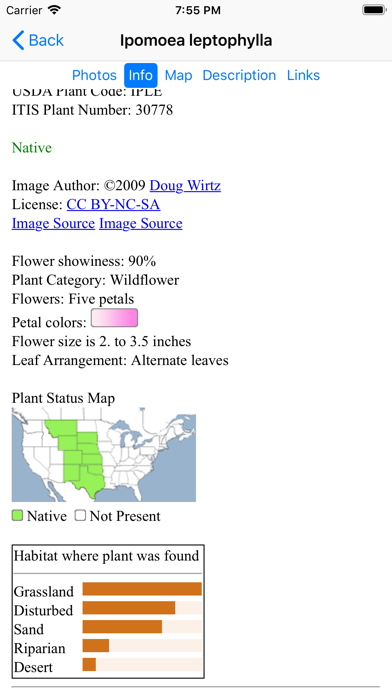 Oklahoma Wildflowers screenshot 4