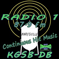Get Smashed Radio pour PC