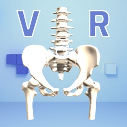 QUT Pelvis VR Trial