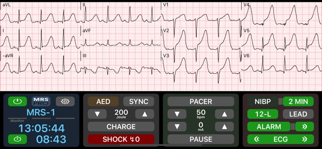 Medical Rescue Sim Pro(圖2)-速報App