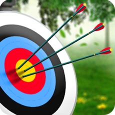 Activities of Archery Master Target Shooter