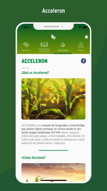 Acceleron