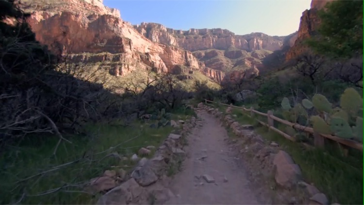 Virtual Active screenshot-4