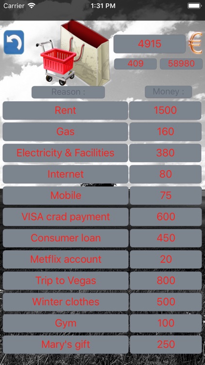 Budget Flow - Expenses, Income
