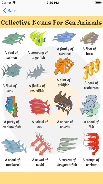 Sea Animals in English! screenshot-4