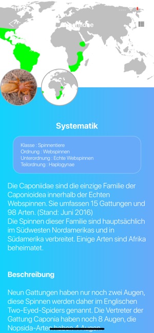 Spinnen 2.0(圖3)-速報App