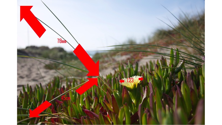 ろ〜る screenshot-9