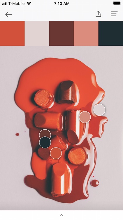 PANTONE Studio screenshot-4